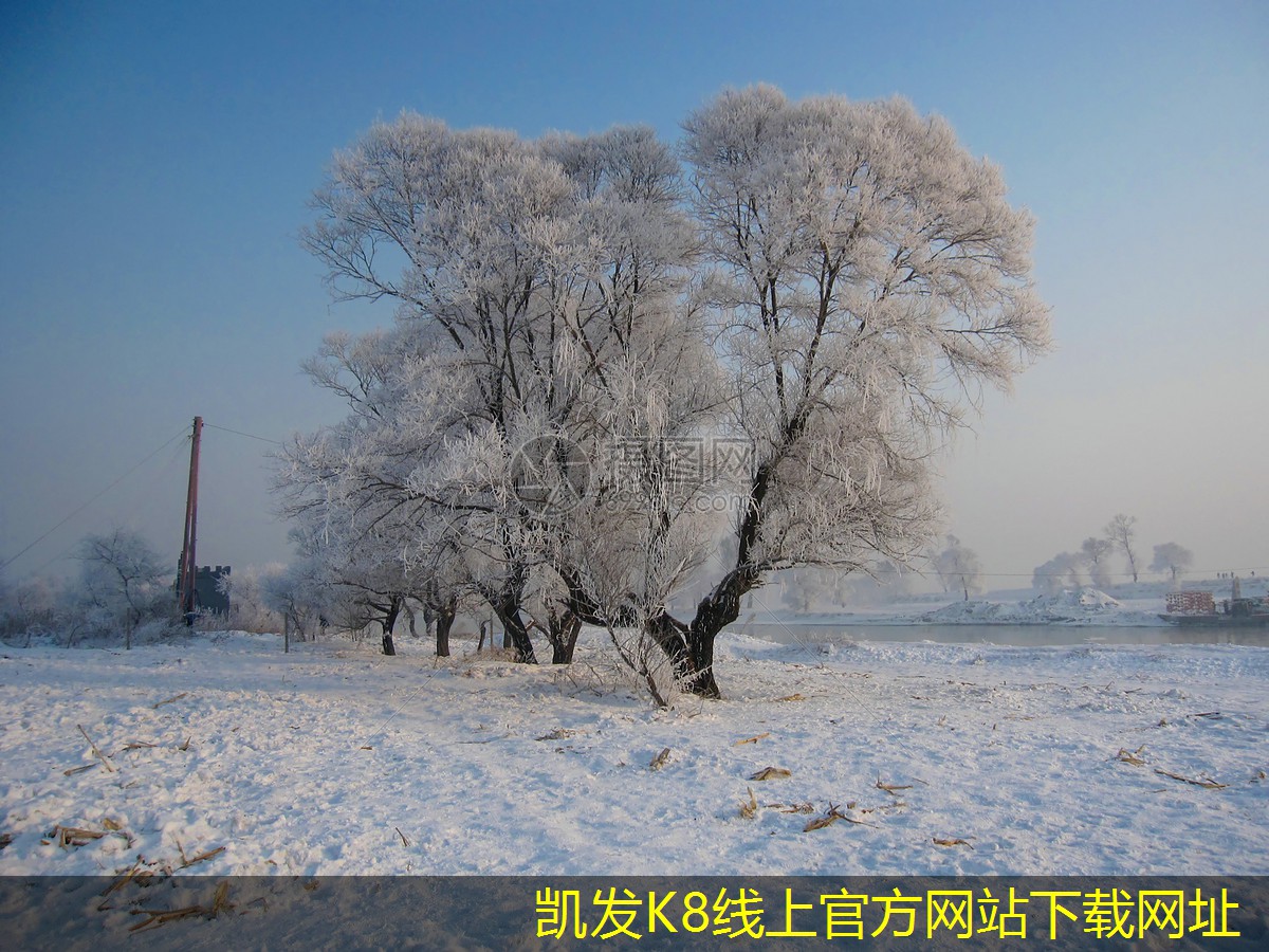 广东真空钎焊炉的成本效益分析